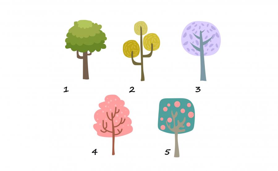 Изберете си дърво и вижте какво доминира в личността ви  