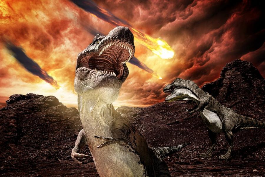 Имали ли са динозаврите шанс?