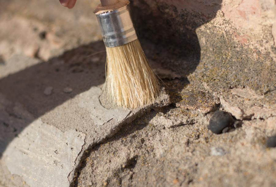 Откриха останки от летящи влечуги, живели в Сахара преди 100 млн. години