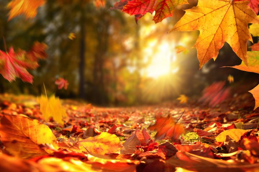 Октомври 2023 е един от най-топлите октомврийски месеци за последните 90 години 