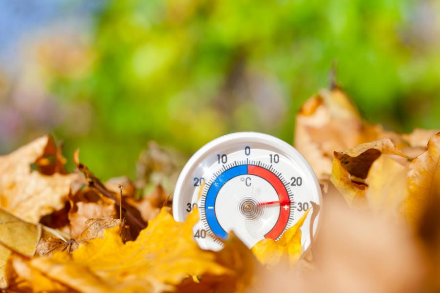 Ноември 2020 г. – най-топлият в инструменталната история