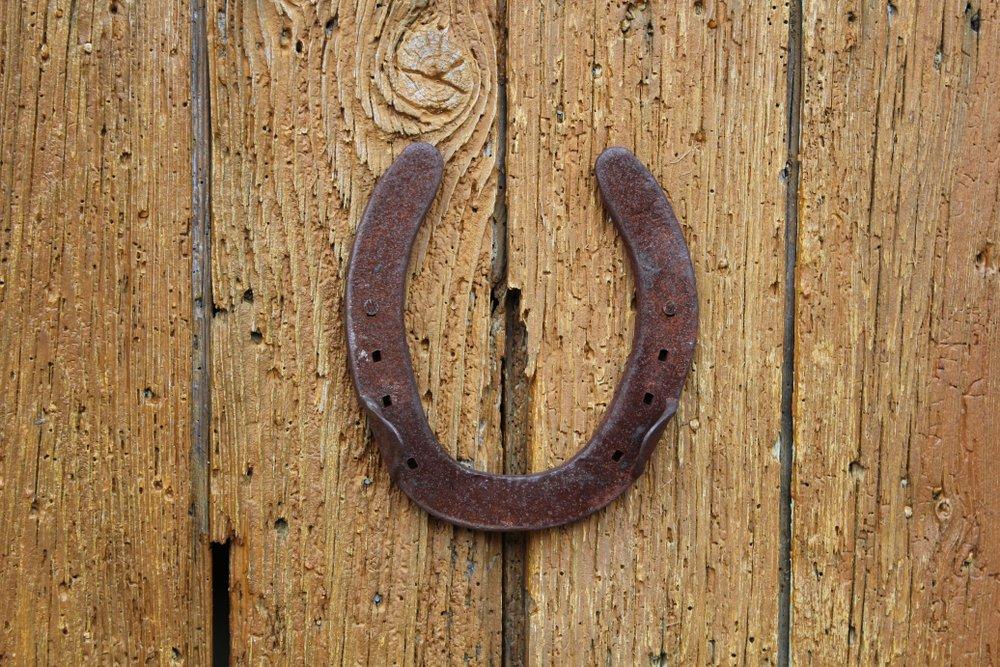 Какво да държим вкъщи за здраве и късмет според баба Ванга