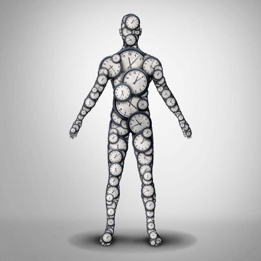 Колко е дълъг човешкият живот без намесата на медицината?