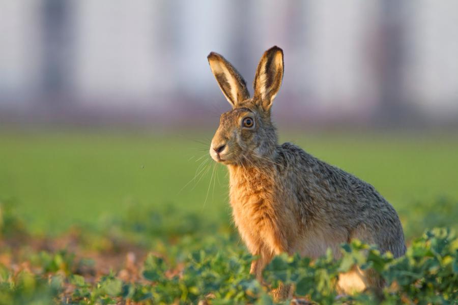 Най-многодетното семейство