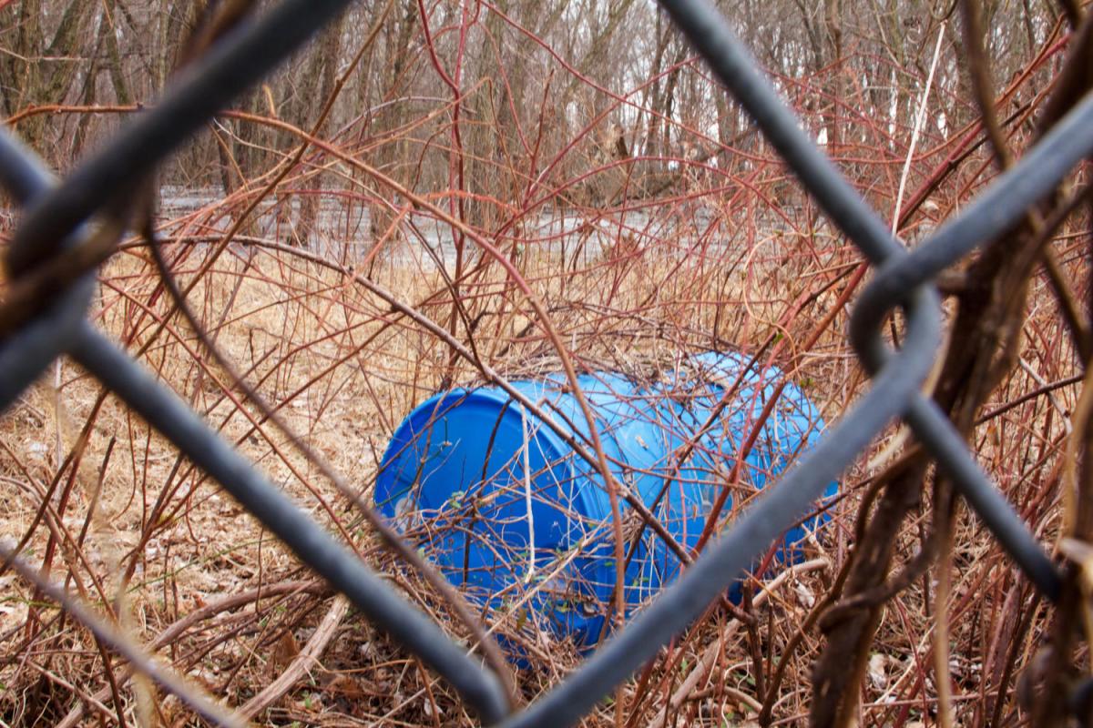 „Вечните химикали“ може да ускоряват стареенето, а една група се оказва по-уязвима от останалите