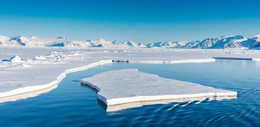 ДНК от октоподи дава информация за топенето на антарктическия лед преди 120 хил. години 