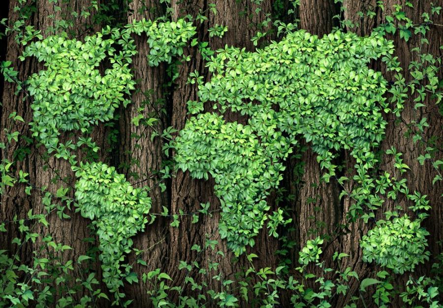В Давос водещи световни компании призовават правителствата да помислят за околната среда