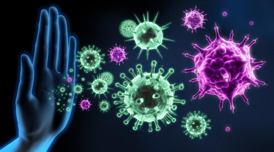 Наред ли е всичко с имунитета ви? Кратък тест