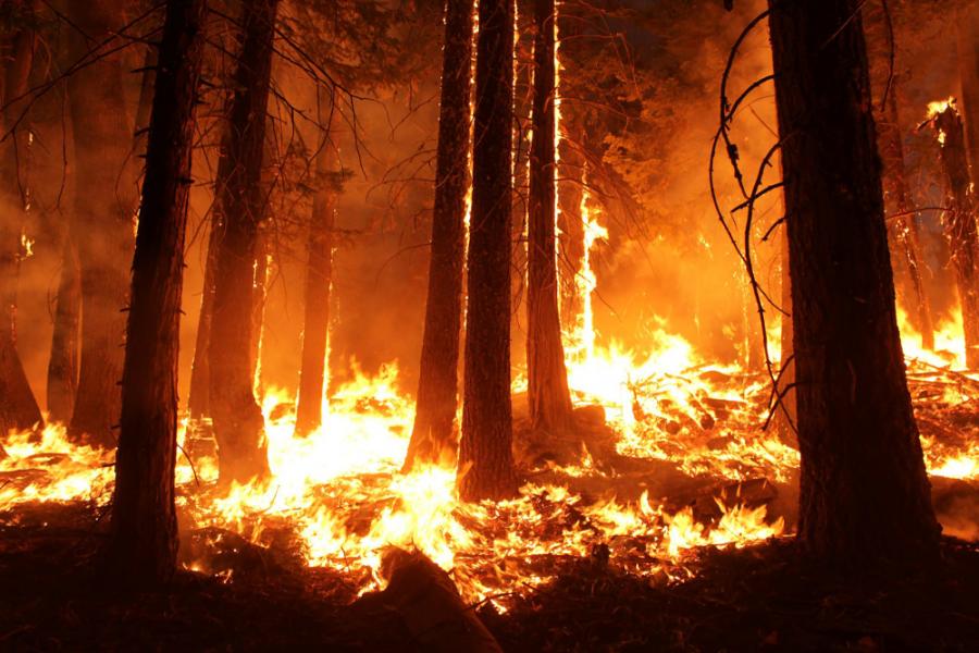 Идва огнена ера с аномалии в климата и пожари