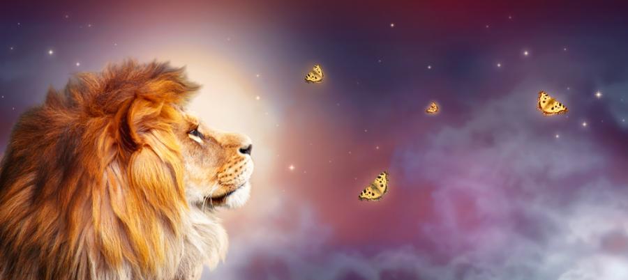 Емоционалното оръжие на 12-те зодии