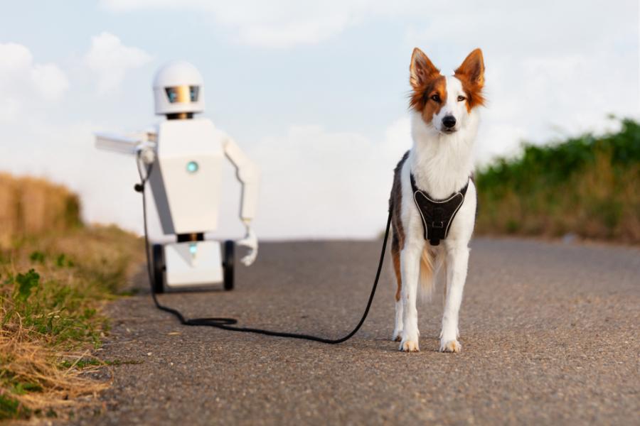 Кучетата могат да се привържат и към роботи