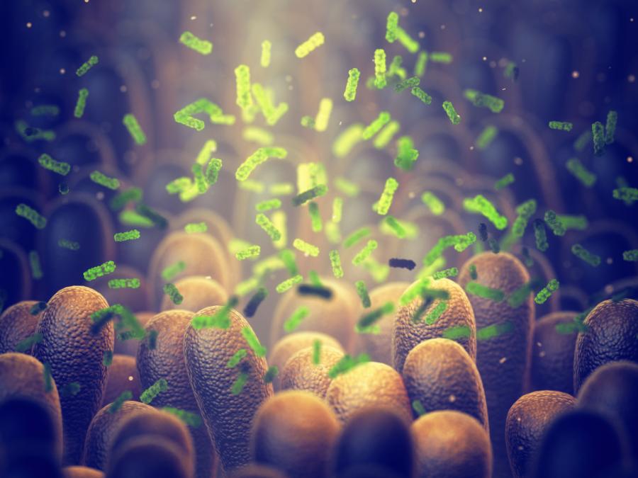 Ето как бактериите общуват помежду си