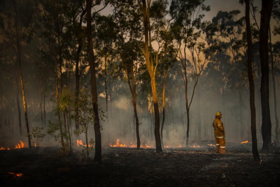 Проучване установи връзката между горските пожари в Австралия и продължителността на феномена Ла Ниня