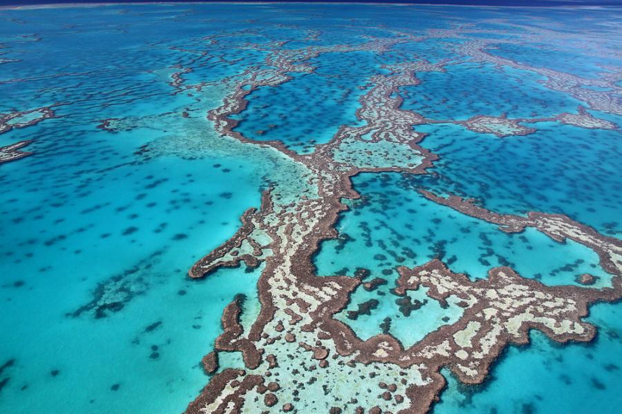 Големият бариерен риф в Австралия понася поредното 