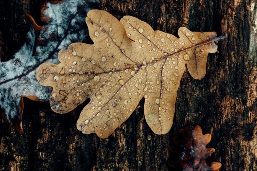 Защо никога не трябва да съжаляваш за нещо, което вече се е случило