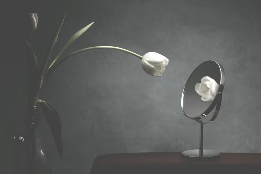 Това, което ви дразни и не харесвате у другите, е отражение на собствената ви същност