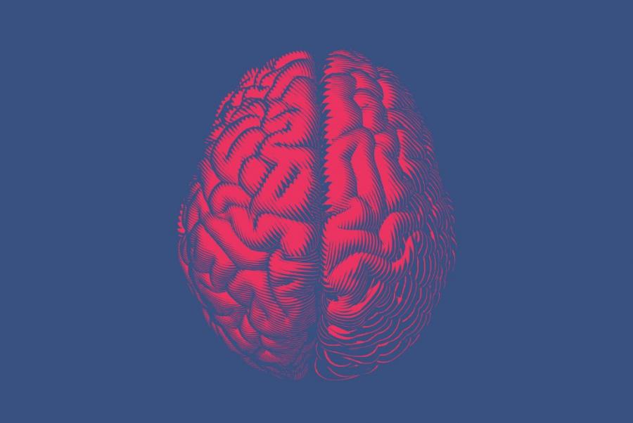 Учени обясниха защо някои хора плагиатстват