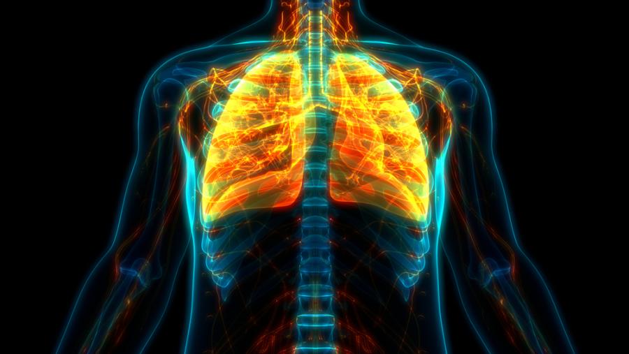 Лекар създаде видео, за да илюстрира щетите, които COVID-19 нанася на дробовете