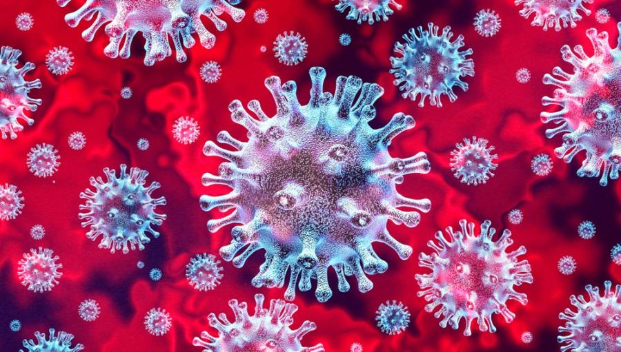 Повече желание за борба и по-малко паника: Грип vs. коронавирус