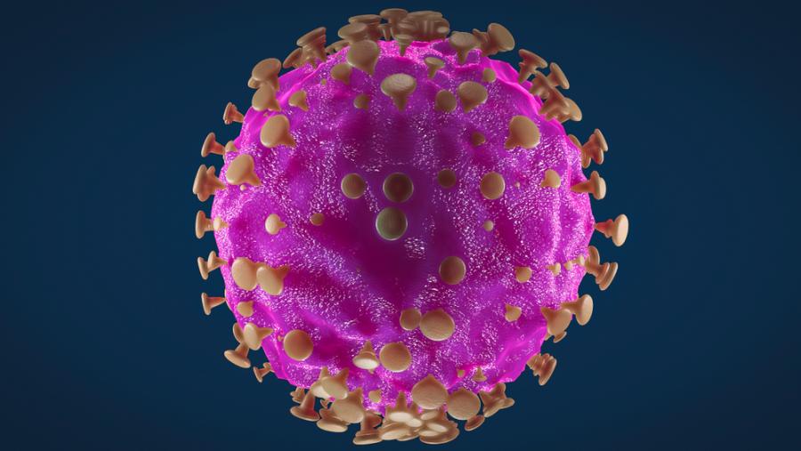 14 души са под наблюдение за коронавирус във ВМА