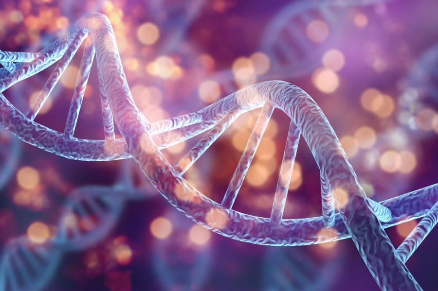 Хората споделят около 40-50% обща ДНК със зелето и още 9 други интересни факта