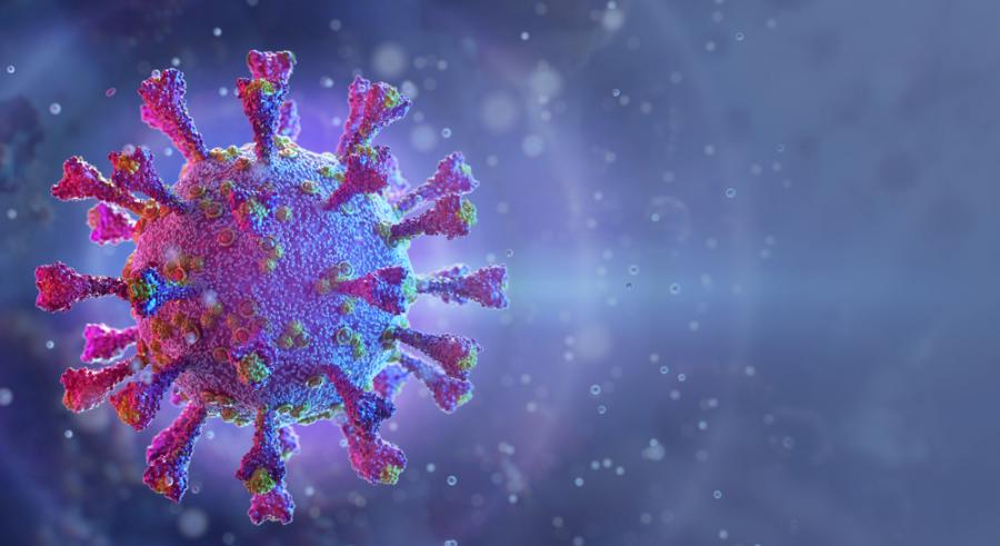 Учени установиха колко дълго продължава имунитетът срещу COVID-19 след преболедуване