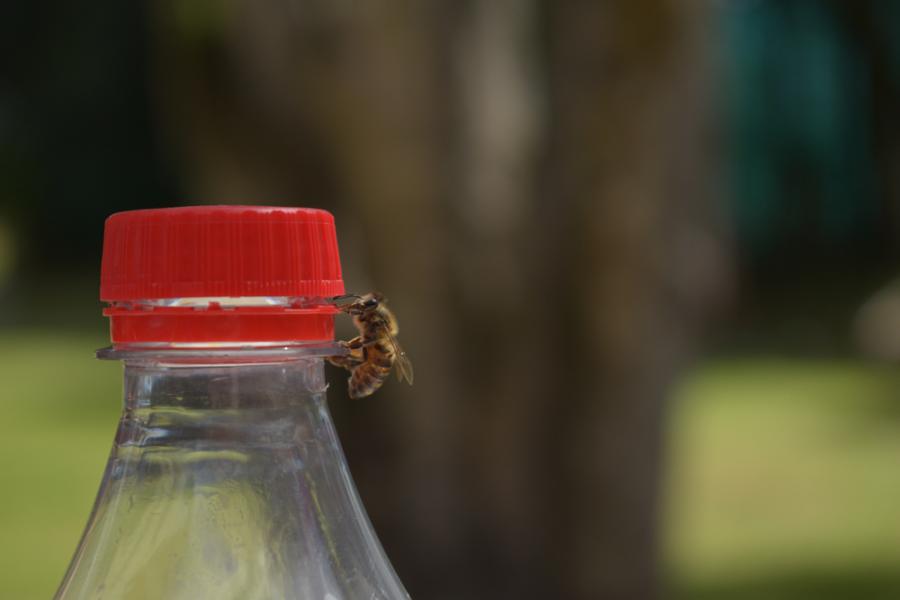 Вижте как две пчели развиват капачката на бутилка