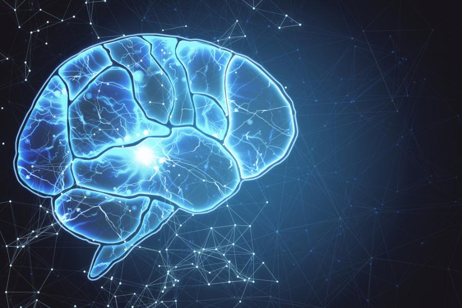 Как сформираме спомените и как ги губим