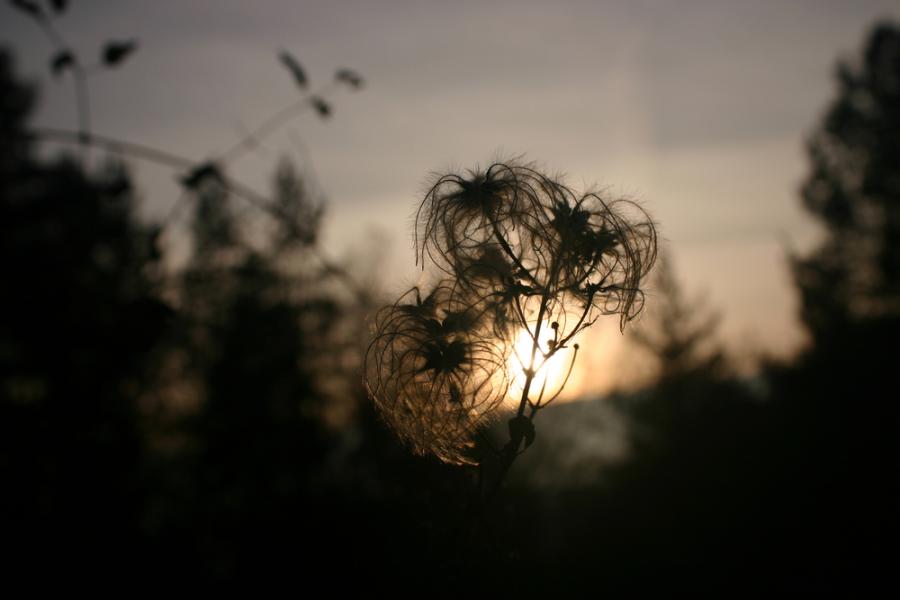 Има два типа носталгия