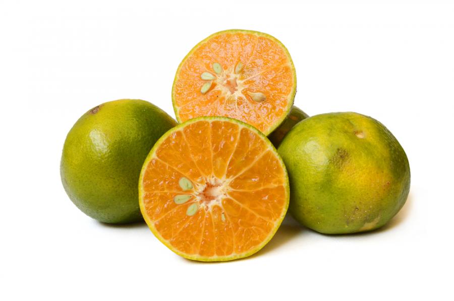 Портокалът всъщност не е оранжев