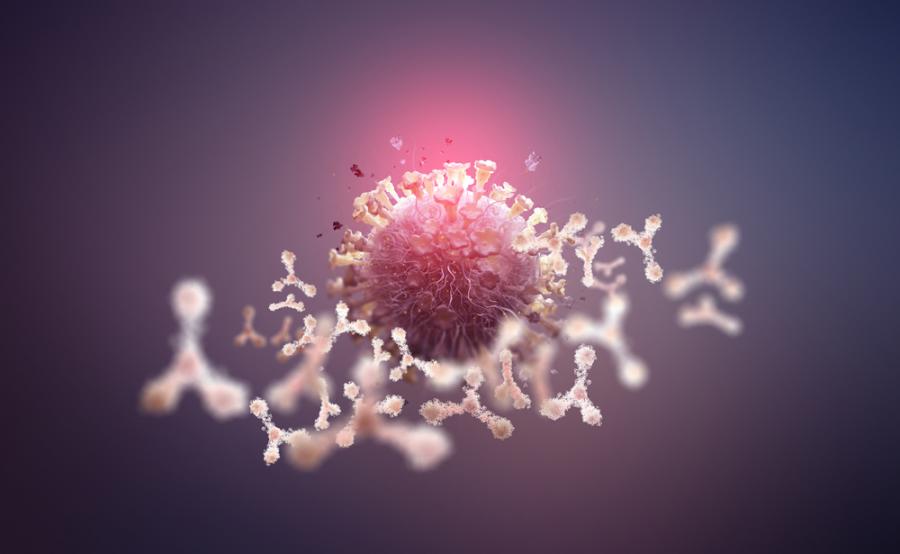 Какви видове антитела срещу COVID-19 съществуват