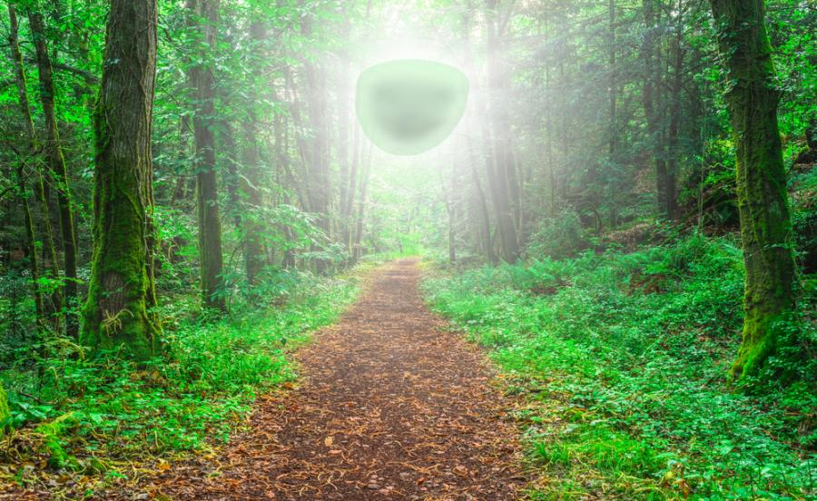 Знаете ли какво означава „пантеизъм“?