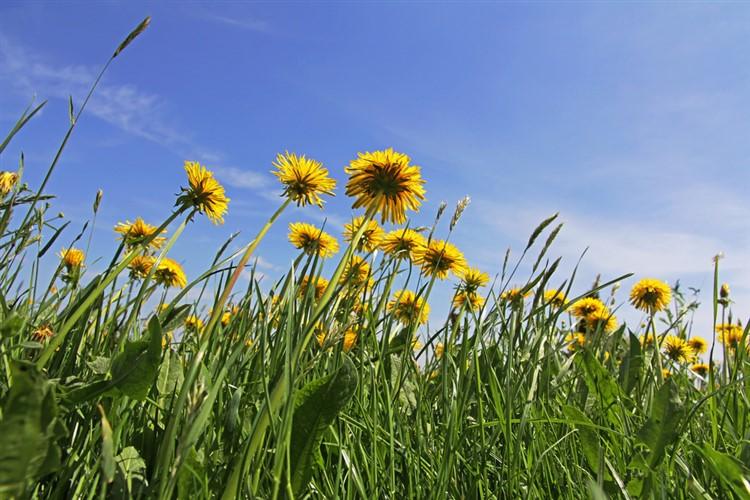 Регистрирахме най-горещия април – поредицата от световни рекорди продължава