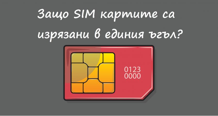 Опитайте се да отговорите на тези 5 любопитни въпроса