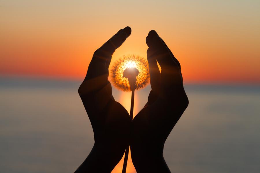 Ремарк: на една крачка между романтиката и идиотизма