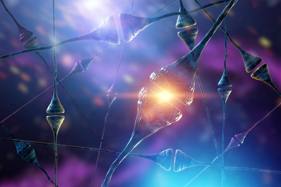 Кето диетата може да забави болестта на Алцхаймер