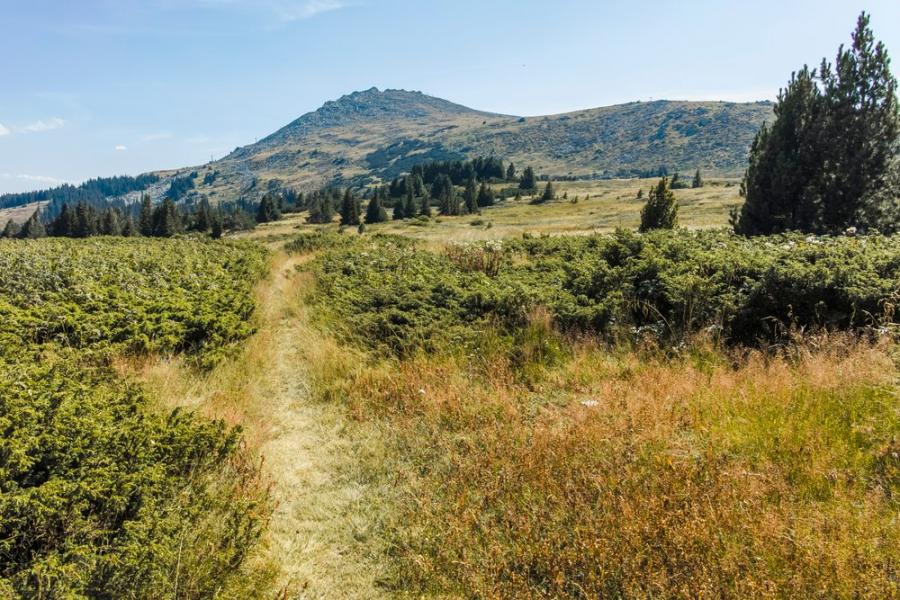 Доброволчески акции ще подобрят инфраструктурата в планините Витоша и Люлин