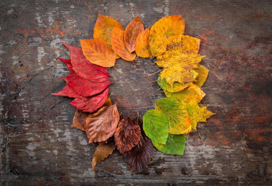 Колелото на живота: Притча за мъдрия и честен търговец