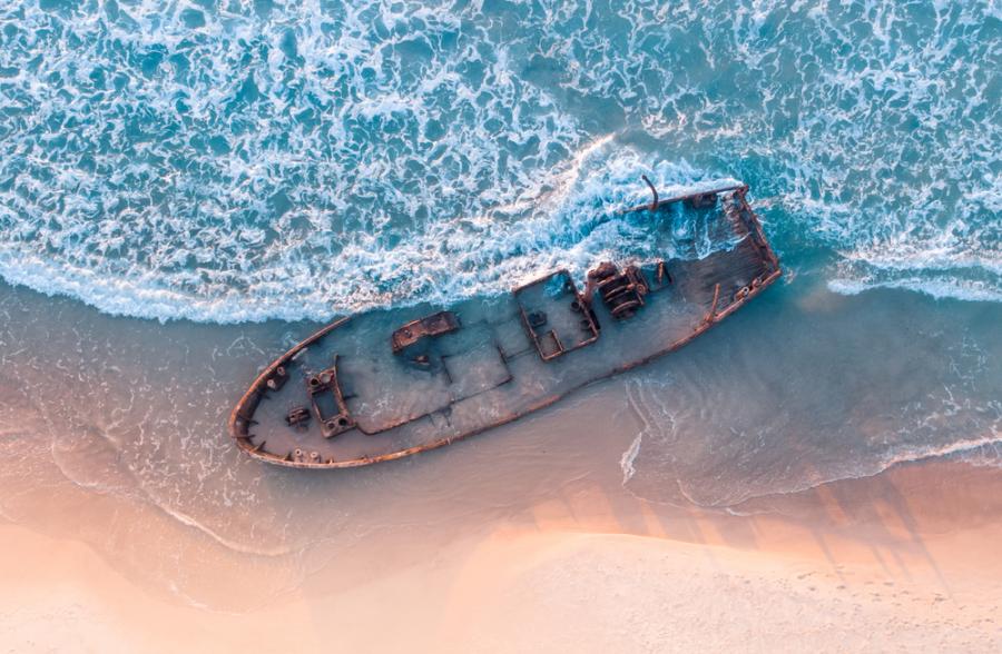 На какво може да ни научи страхът