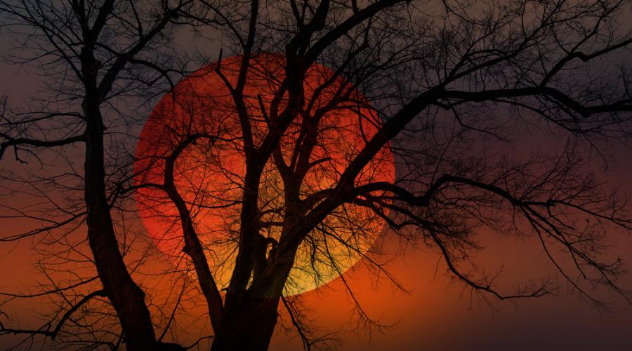 Рядкото „кърваво“ лунно затъмнение във вторник ще се повтори чак през 2025 г.!