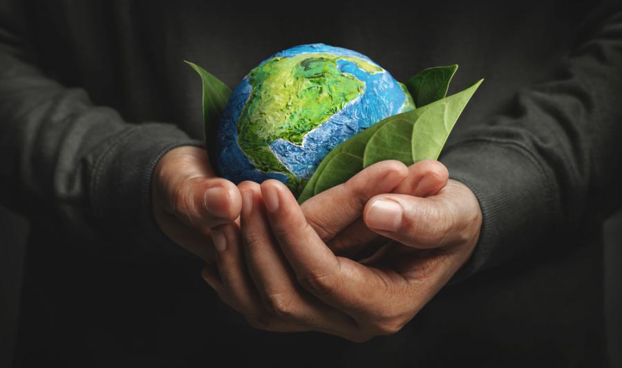 Устойчивото развитие и екологизмът – двата стожера на зелената идея