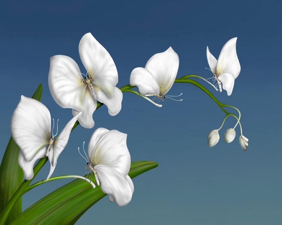 Първото нещо, което видите, разкрива вашия характер