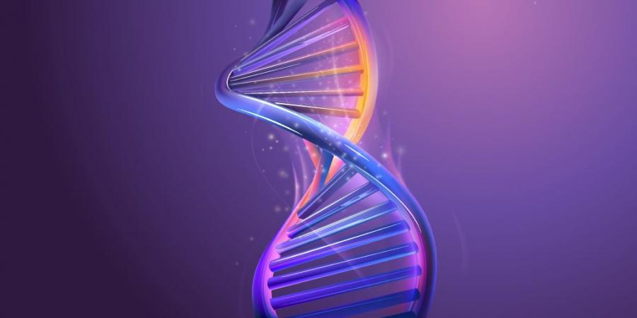 Учени секвенираха последната част от човешкия геном – хромозомата Y