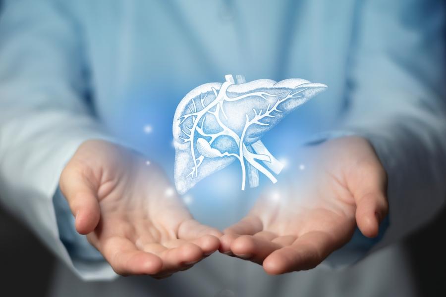 Защо страда черният дроб: как да спрем преяждането