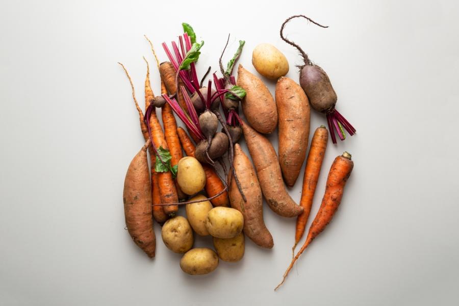 6 невероятни факта за растенията