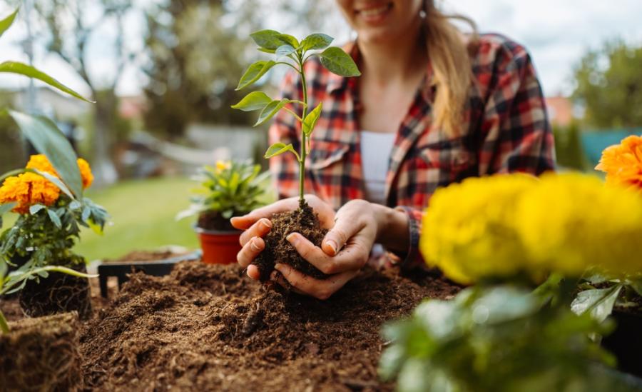 Земя, бензин, кожа: защо харесваме странни миризми
