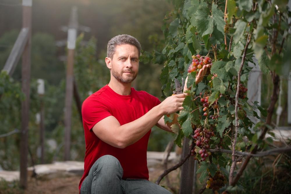 Виц: Трите периода в живота на мъжа