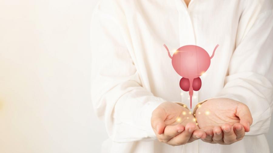 Месната молекула карнозина е обещаваща като първа линия на лечение при рак на простатата