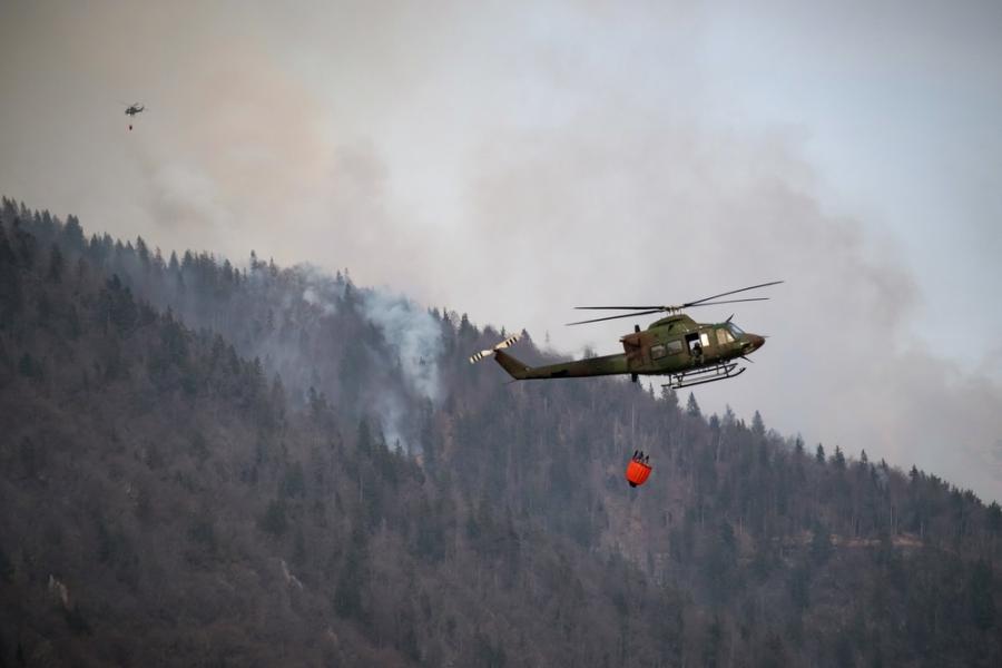 Огнена заплаха: Управление на горските пожари в България