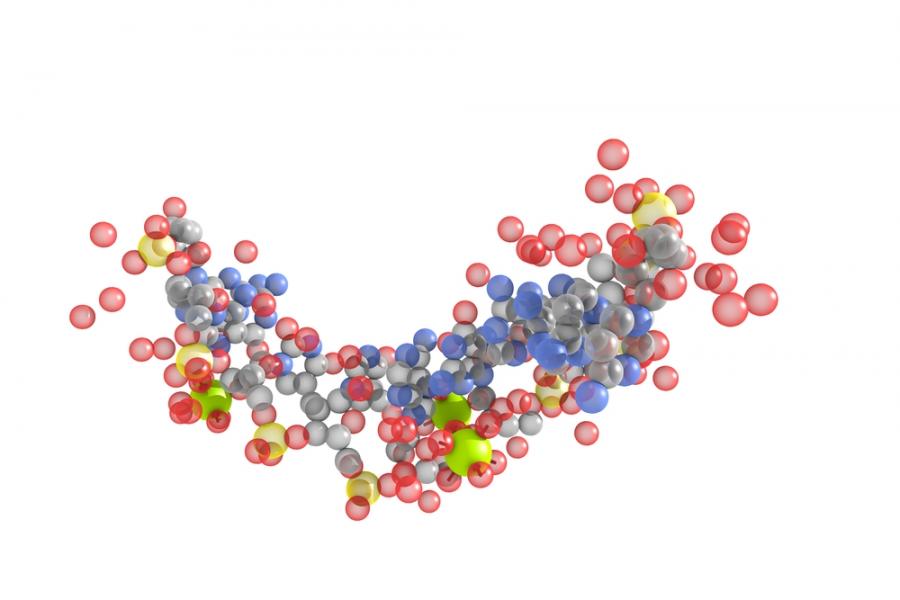 Нов вид лекарства, специално направени от малки протеини